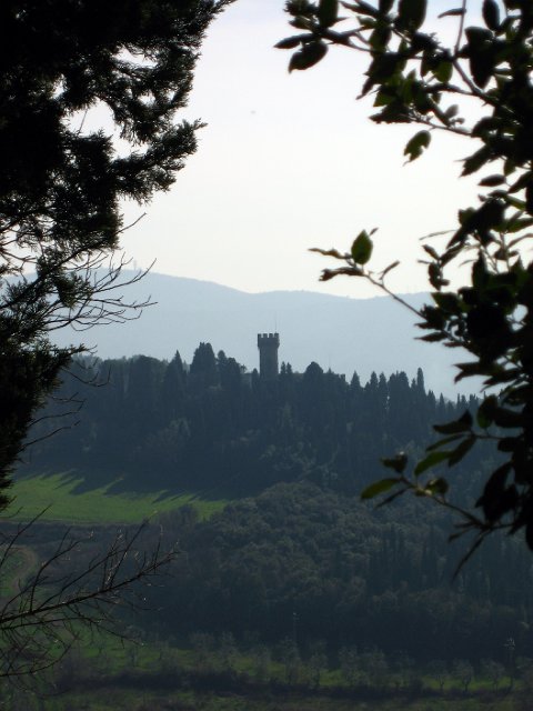 Fiesole - Parco di Montececeri-30.JPG